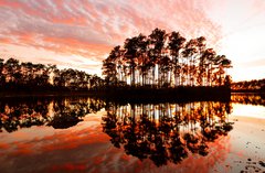 Everglades National Park photo