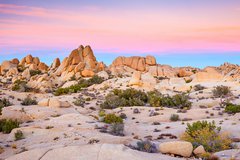 Joshua Tree National Park photo