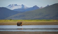 Katmai National Park and Preserve photo