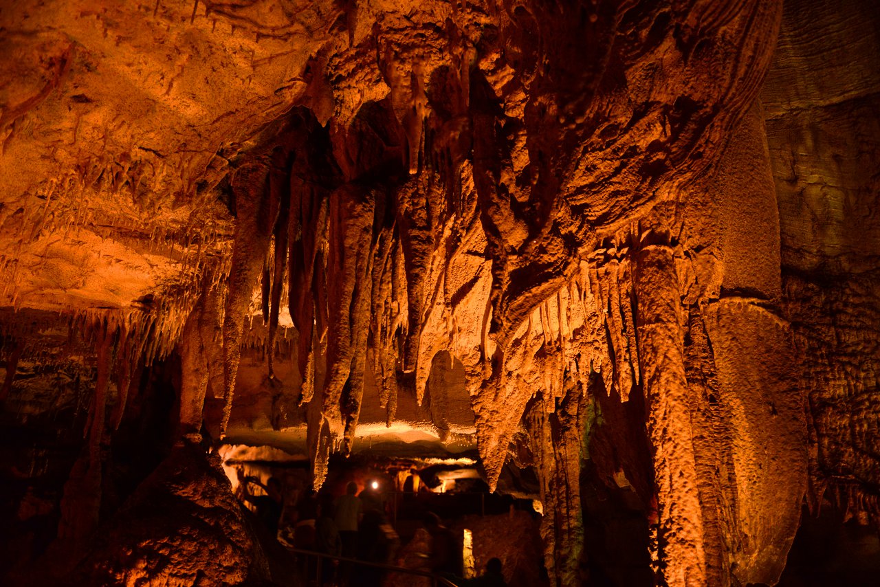 Mammoth Cave National Park photo