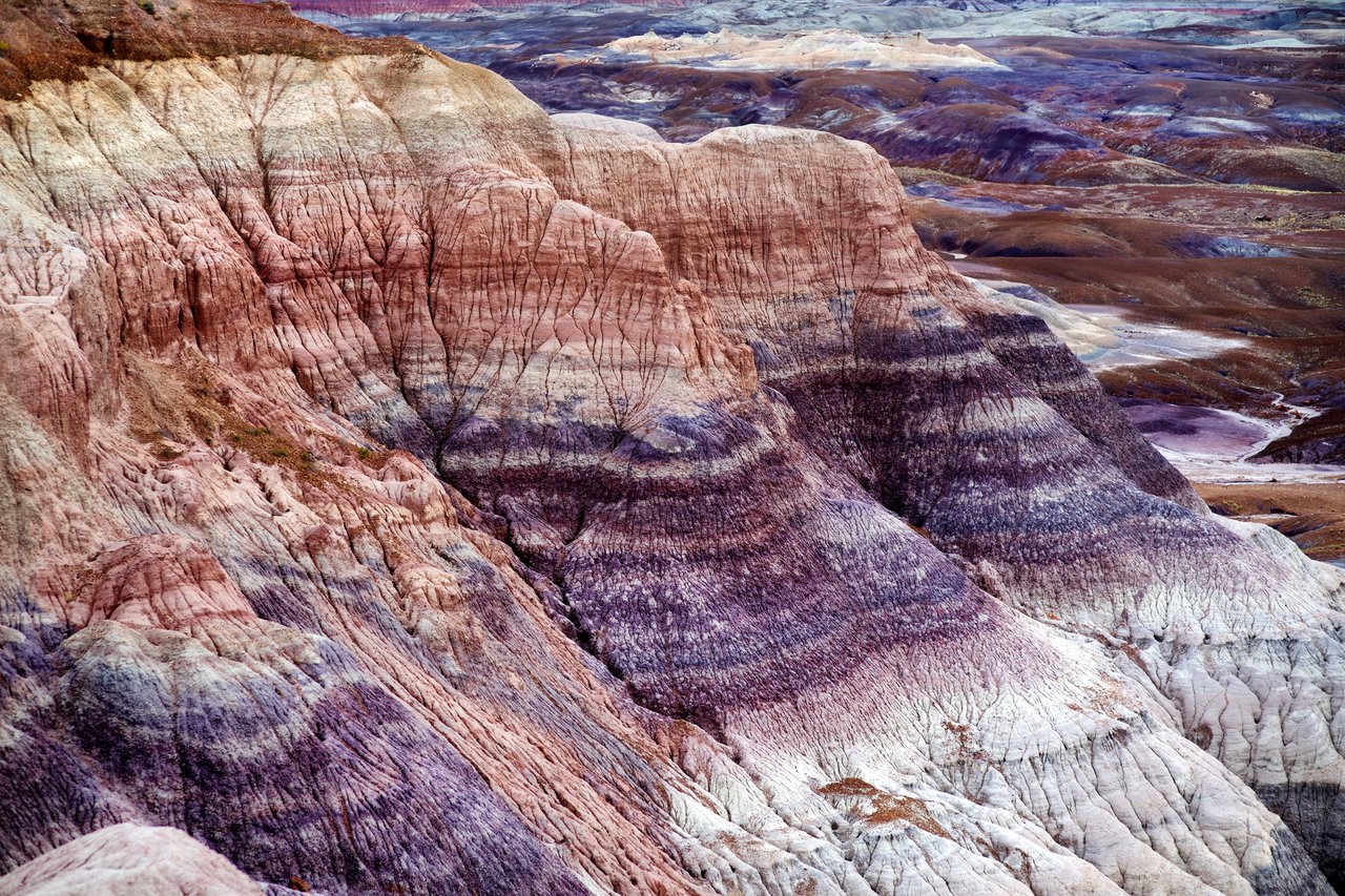 Petrified Forest National Park photo