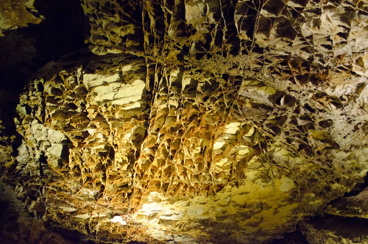 Wind Cave National Park photo